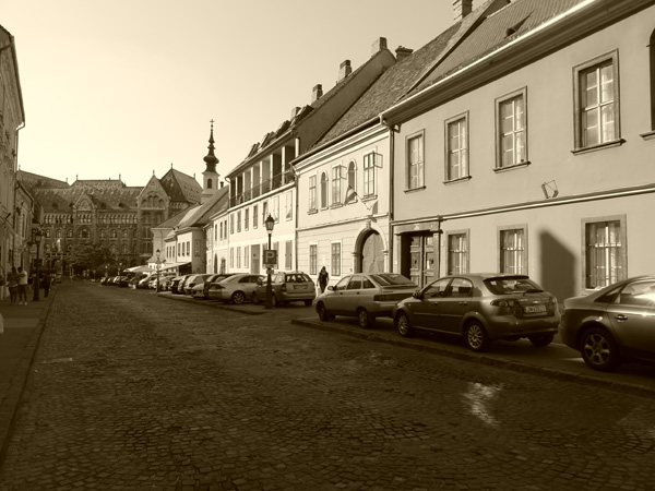 sepia